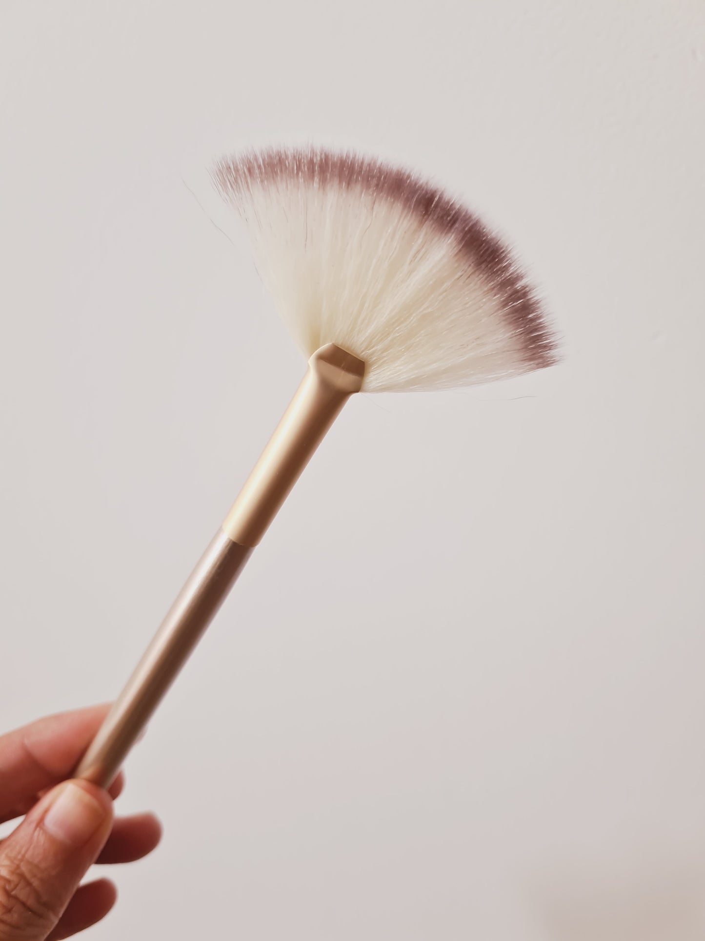 Mask Dish + Fan Brush - Dust & Glow