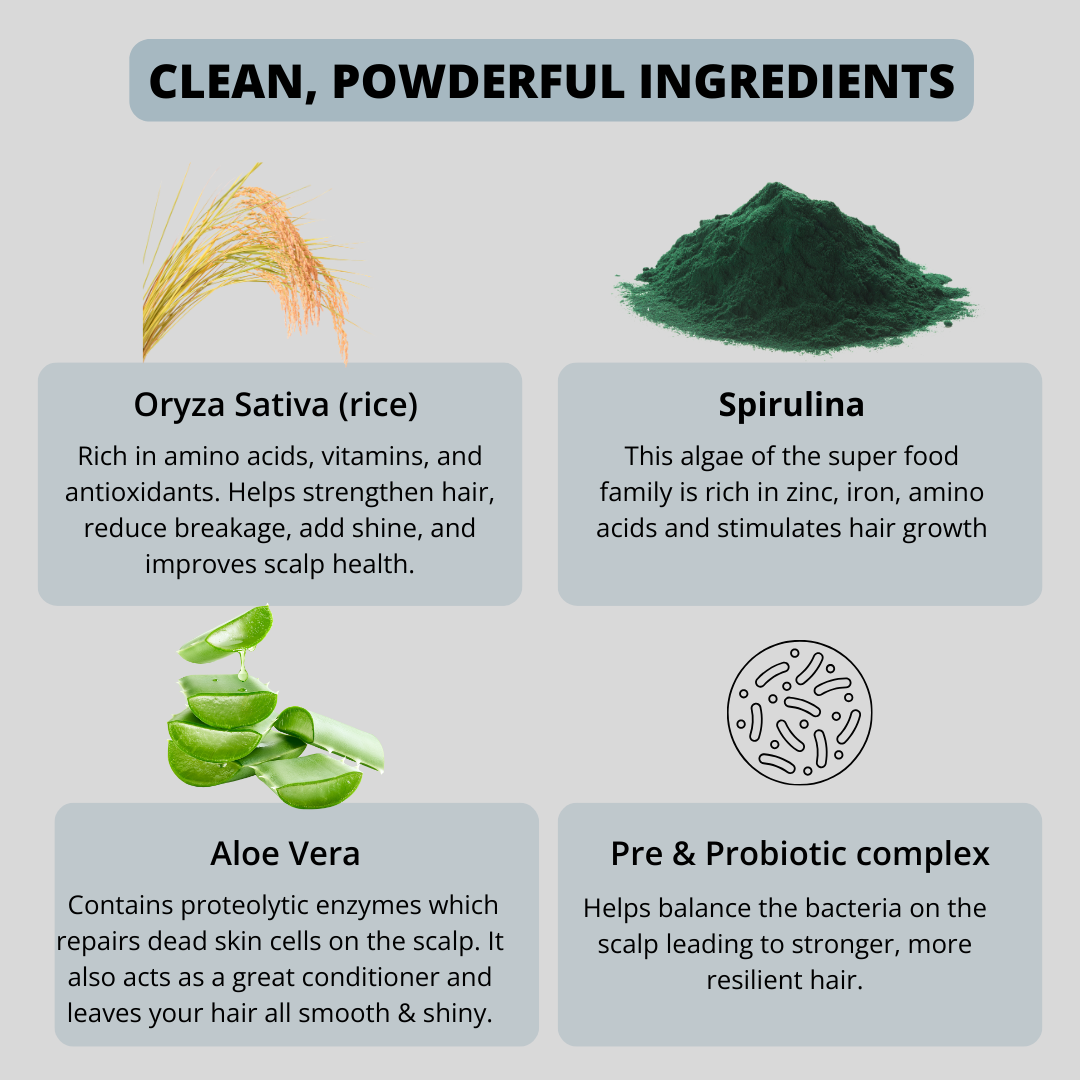 Powder Based Conditioner - Dust & Glow
