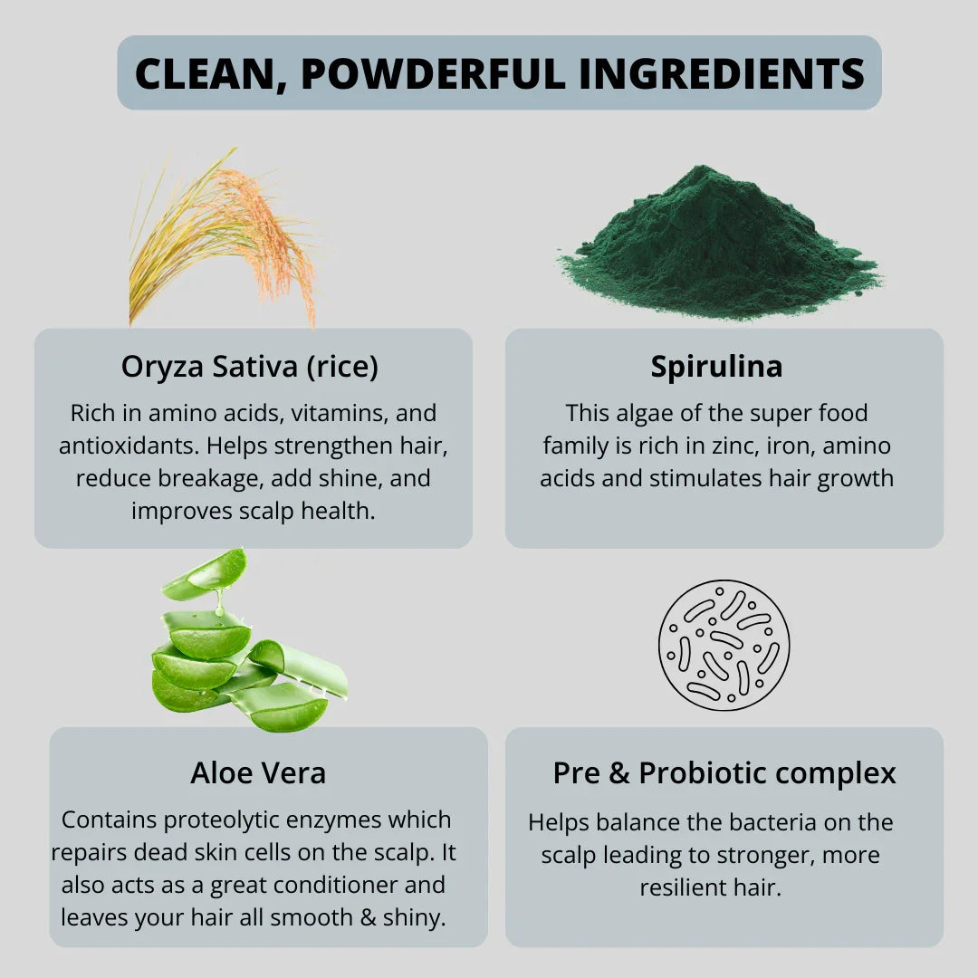 Powder Based Conditioner - Dust & Glow