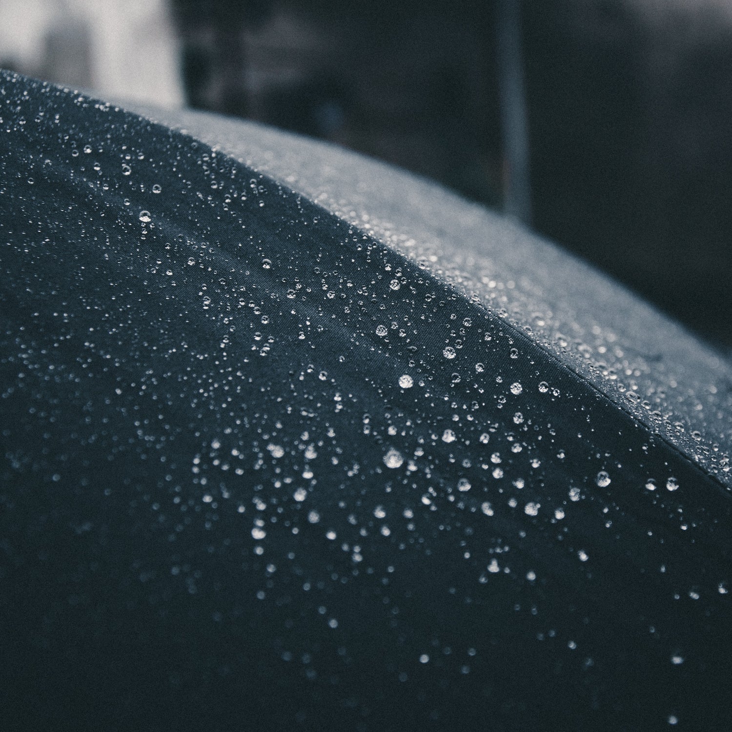 Water drops on leaf. Water is life. We took the water out to give it back to those who need it the most. 